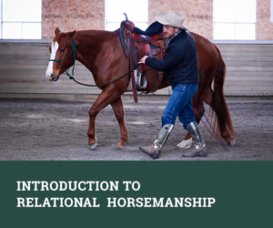 Introduction to Relational Horsemanship