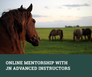 Online Mentorship with JN Advanced Instructors