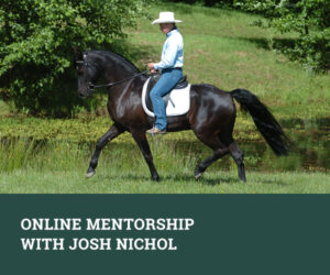 Online Mentorship with Josh Nichol