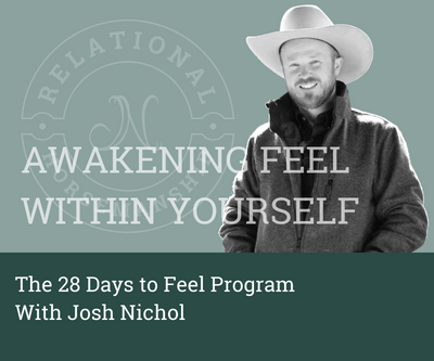 28 Days To Feel | Awakening Feel Within Yourself